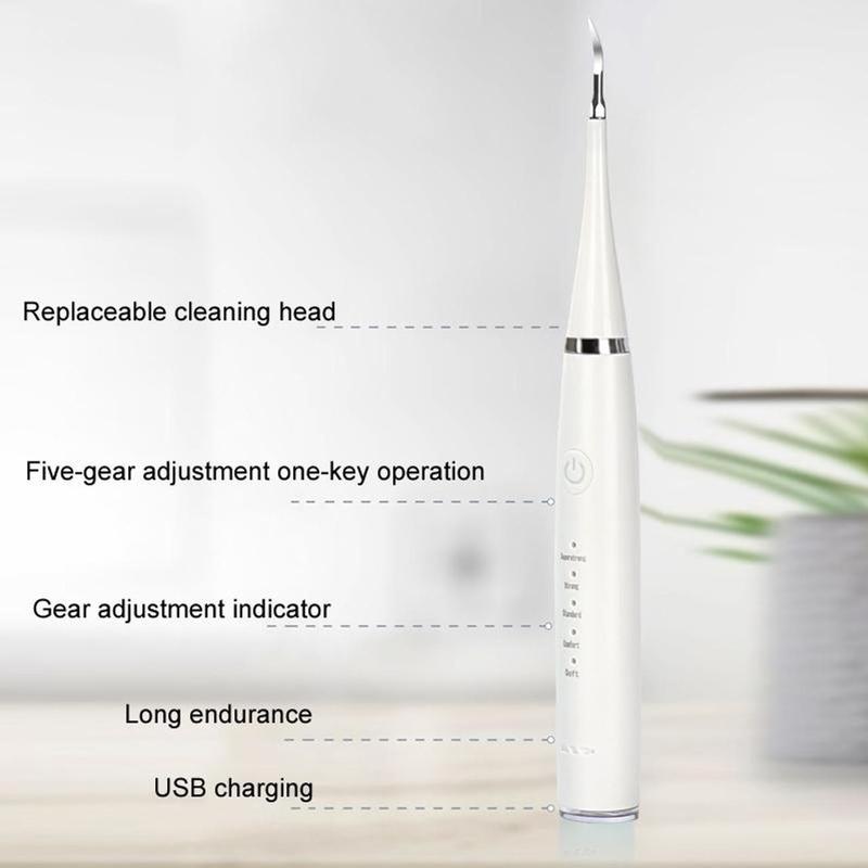 2 in 1 Electric Teeth Cleaner Kit, 1 Set Waterproof Electric Teeth Cleaner with Teeth Brush Heads & Oral Mirror, Rechargeable Toothbrush for Home & Travel, Christmas Gift