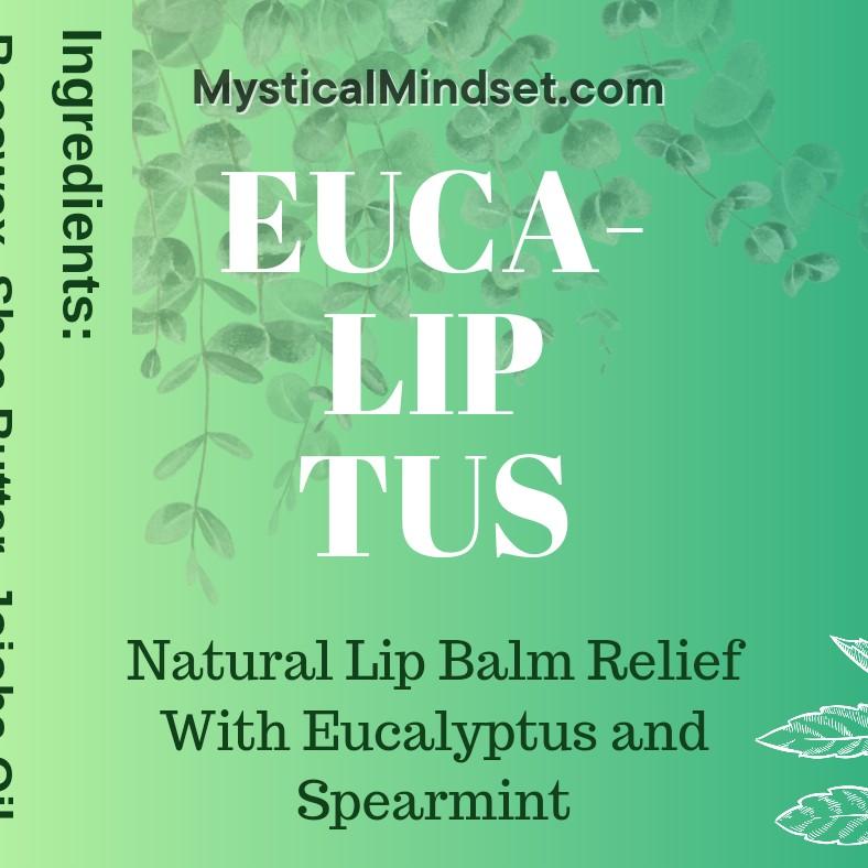 Organic Eucalyptus Lip Balm - 